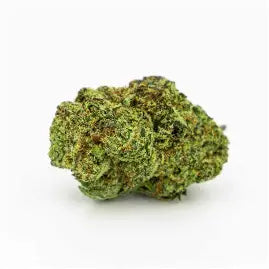 Fleur de CBD Critical, bourgeon vert dense recouvert de trichomes