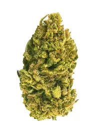Fleur de CBD White Widow, bourgeon vert clair dense recouvert de trichomes