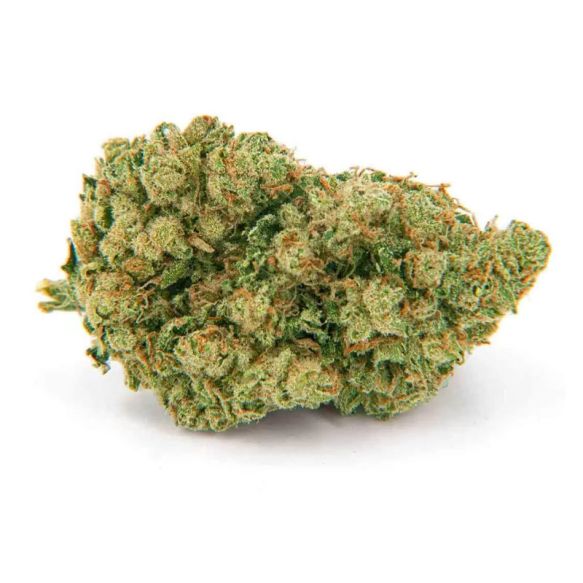 Fleur de CBD Amnesia U.S, bourgeon vert dense recouvert de trichomes