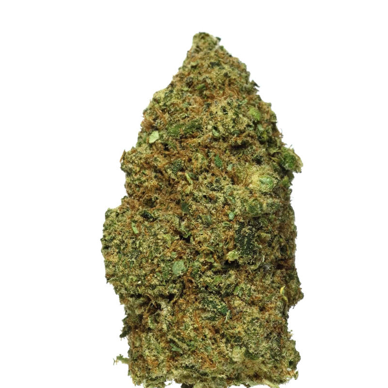 Fleur de CBD Lemon Haze, bourgeon vert allongé recouvert de trichomes et de pistils orangés